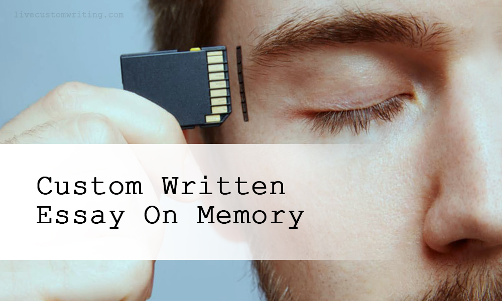 Custom Written Essay On Memory
