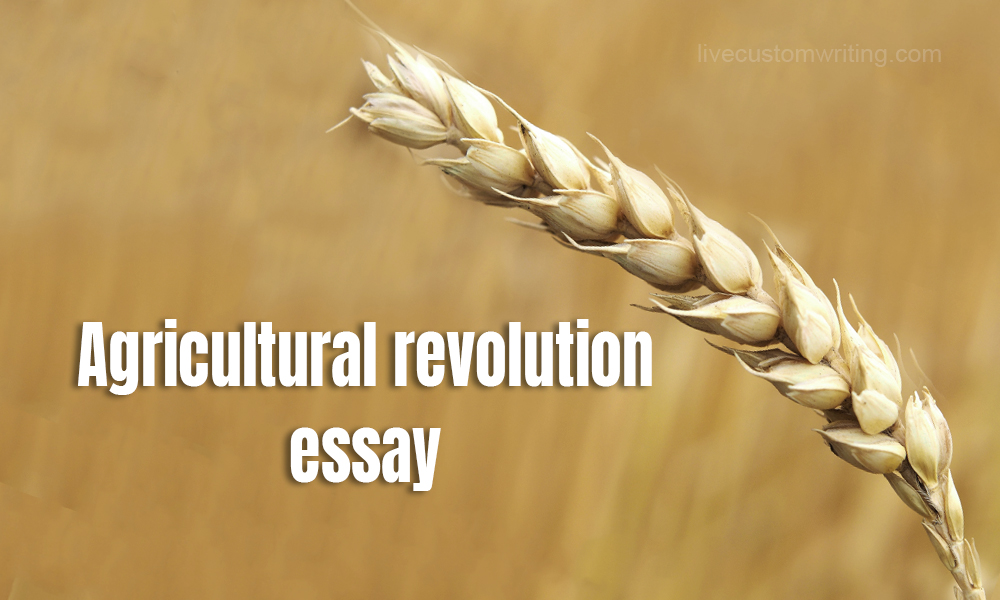 Agricultural Revolution Essay