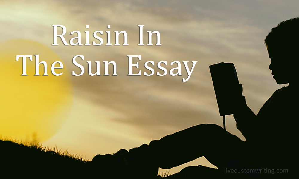 Raisin In The Sun Essay