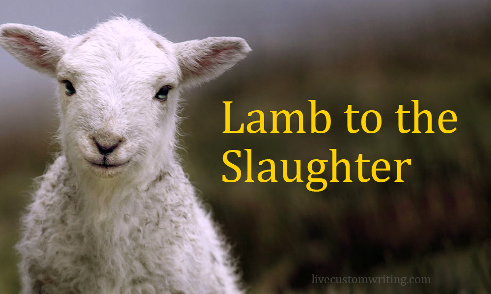 Lamb To The Slaughter