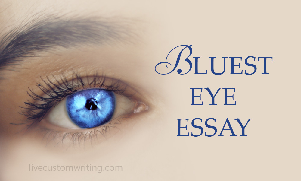 the bluest eye summary essay