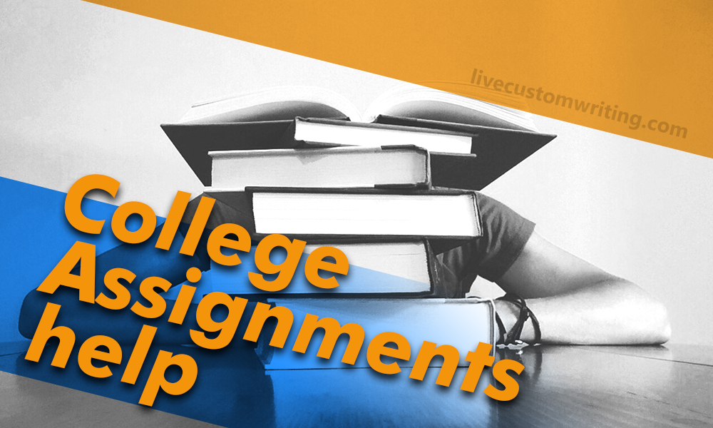 College assignments help online
