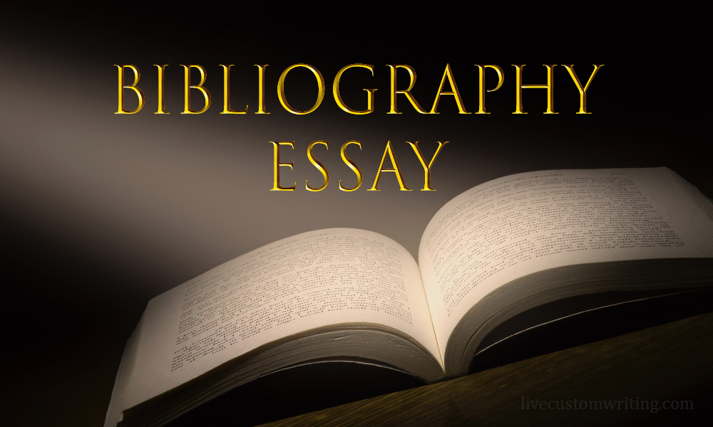 Bibliography Essay