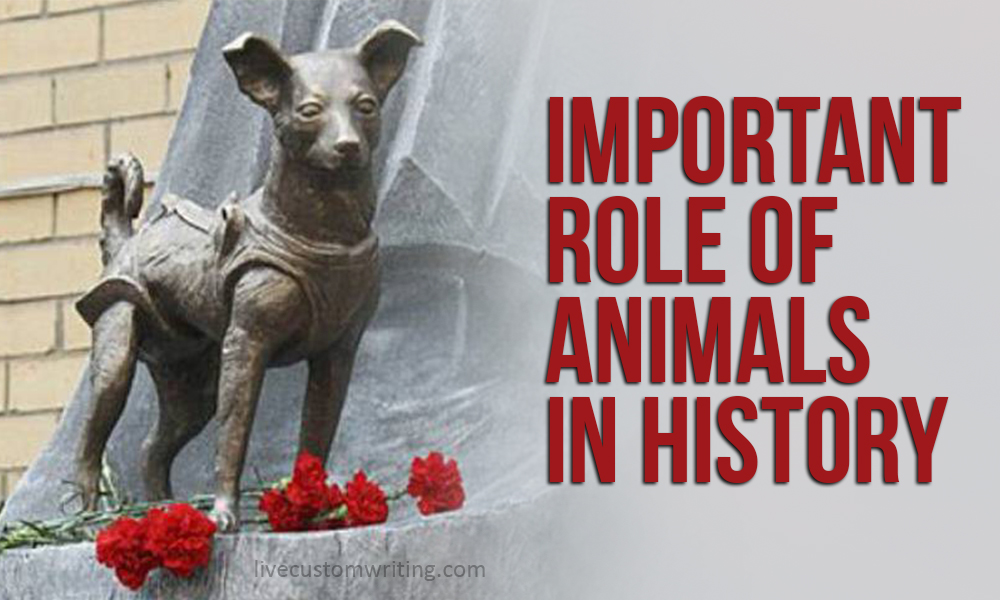 Important Role Of Animals In History