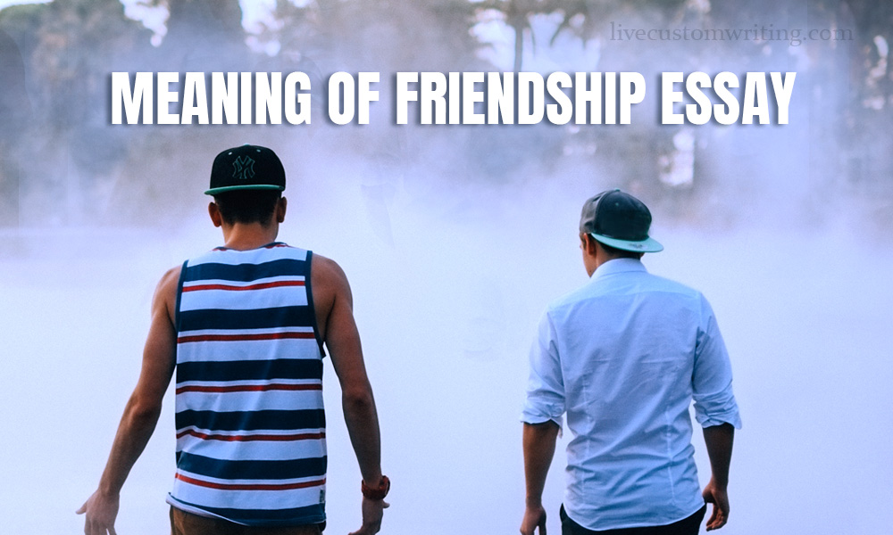 Meaning Of Friendship Essay