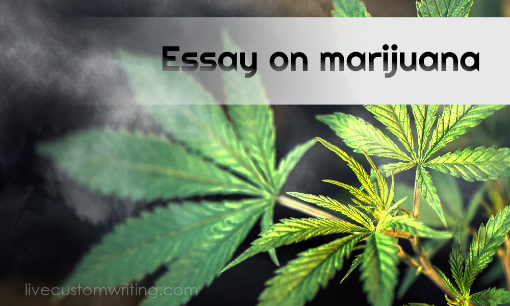 Essay on Marijuana