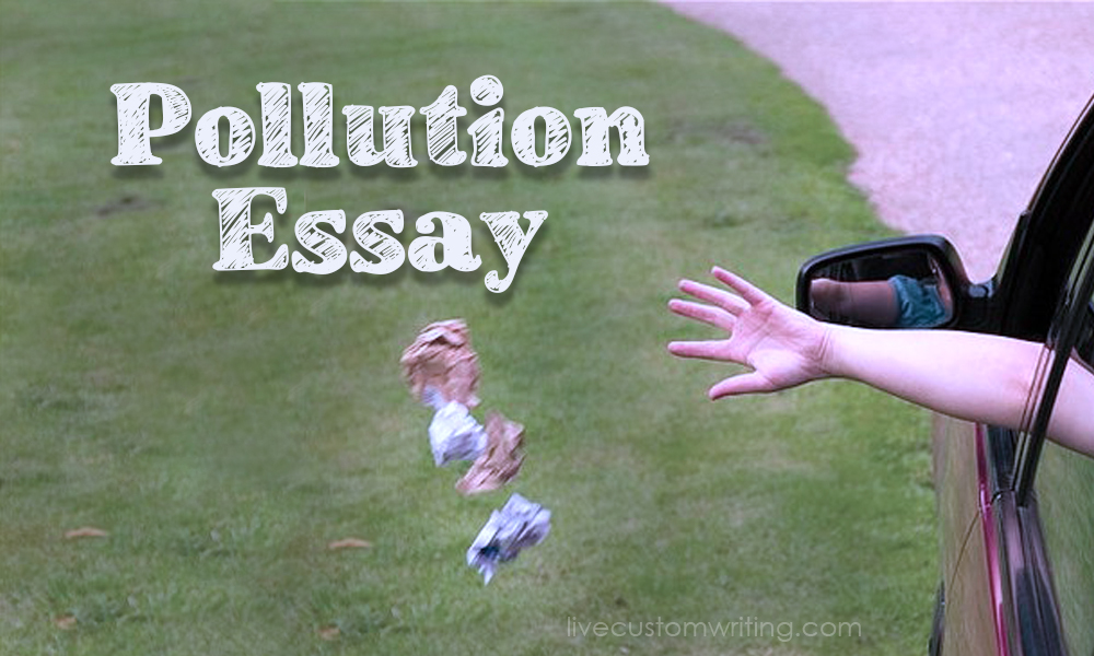 Pollution Essay
