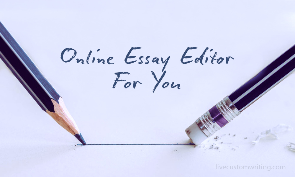 Online Essay Editor For You