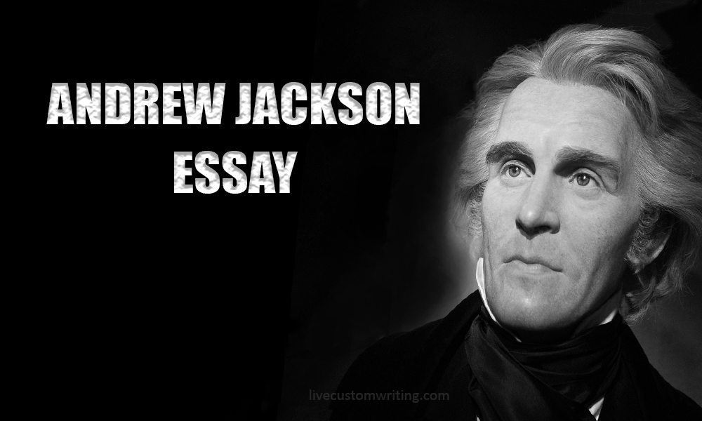 Andrew Jackson Essay