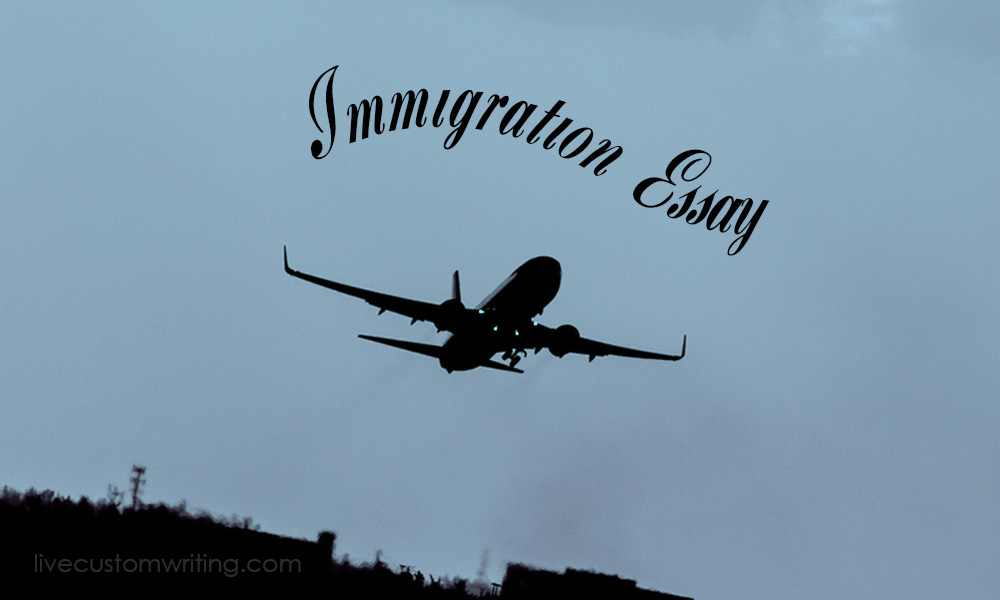 Immigration Essay