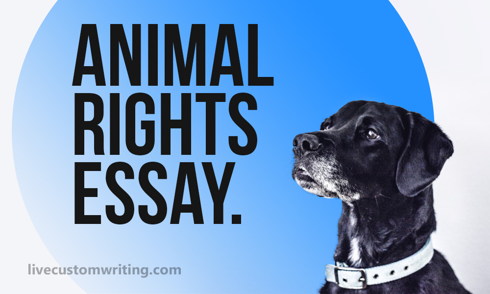 animals also have rights essay 200 words